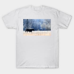 Horse and Owl T-Shirt